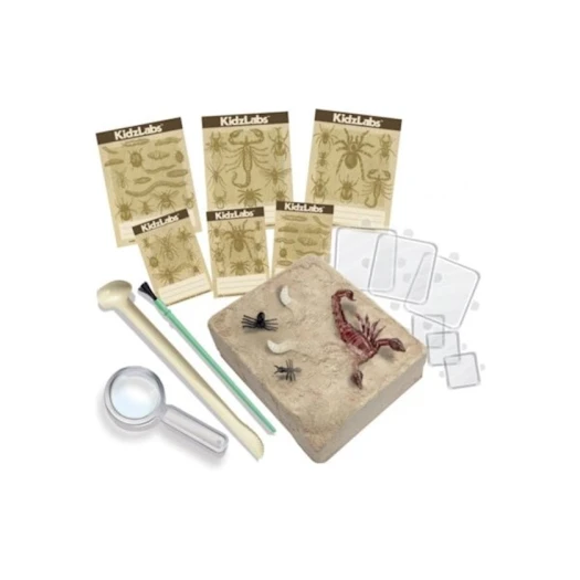 Набор 4M Kidz Labs Creepy Crawly Digging Kit Набор 4M Kidz Labs Creepy Crawly Digging Kit