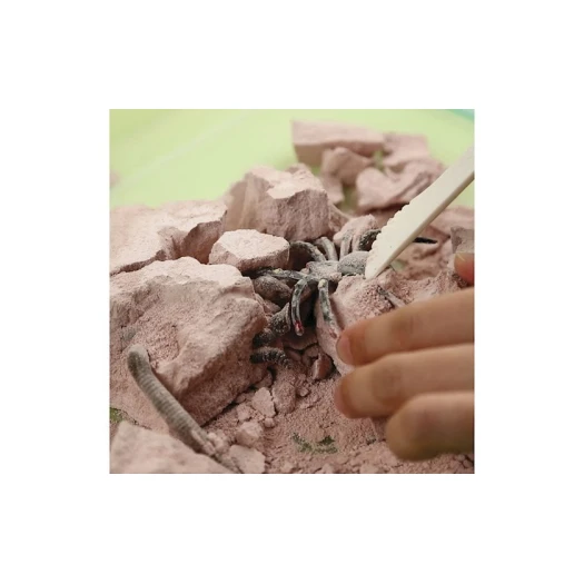 Набор 4M Kidz Labs Creepy Crawly Digging Kit Набор 4M Kidz Labs Creepy Crawly Digging Kit