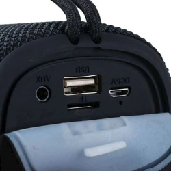 Portativ dinamik RGK R700 20W Black