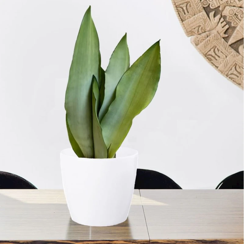 Dibçək Lamela Magnolia 30 sm, plastik, ağ Dibçək Lamela Magnolia 30 sm, plastik, ağ