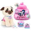 Мягкая игрушка сюрприз Zuru Pets Alive Pooping Puppies, от 3 лет, товар в ассортименте Мягкая игрушка сюрприз Zuru Pets Alive Pooping Puppies, от 3 лет, товар в ассортименте