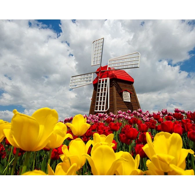 Алмазная мозаика Diamond Mosaic Вид на мельницу, 40х50 см Алмазная мозаика Diamond Mosaic Вид на мельницу, 40х50 см