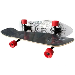 Skeytbord uşaq üçün 912, rəngbərəng