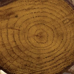 Цветной лак Cadence Colour On Colored Varnish CV-14 Dark Walnut, 90 мл