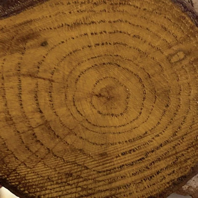 Цветной лак Cadence Colour On Colored Varnish CV-14 Dark Walnut, 90 мл Цветной лак Cadence Colour On Colored Varnish CV-14 Dark Walnut, 90 мл