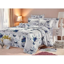 Yataq dəsti Luxe Cotton Lu-xe-000476 yorğan üzü 160x240 sm, mələfə 160x220 sm, yastıq üzü 50x70 sm, birnəfərlik, satin, rəngbərəng