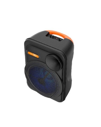 Portativ dinamik GTS GTS-1883 35W 2 mikrofon ilə