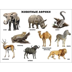 Плакат Проф-Пресс Животные Африки