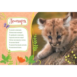 Книга Росмэн Учимся с Пушистиками Зоопарк, автор Г. Дядина