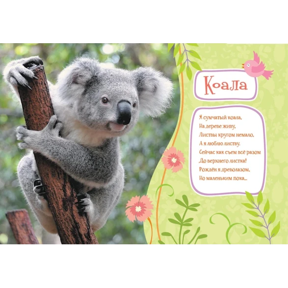 Книга Росмэн Учимся с Пушистиками Зоопарк, автор Г. Дядина Книга Росмэн Учимся с Пушистиками Зоопарк, автор Г. Дядина