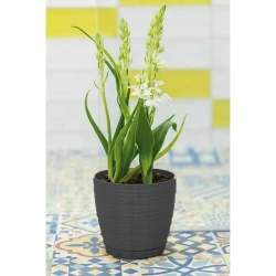 Цветочный горшок Irak Plastik Sahara SH110Ğ, 14.7x13.3см, 1.6л, разные цвета