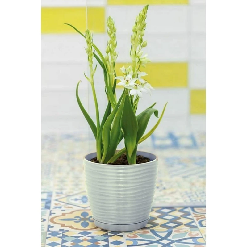 Цветочный горшок Irak Plastik Sahara SH110Ğ, 14.7x13.3см, 1.6л, разные цвета