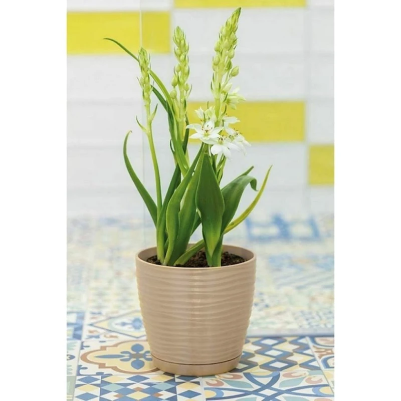 Цветочный горшок Irak Plastik Sahara SH110Ğ, 14.7x13.3см, 1.6л, разные цвета