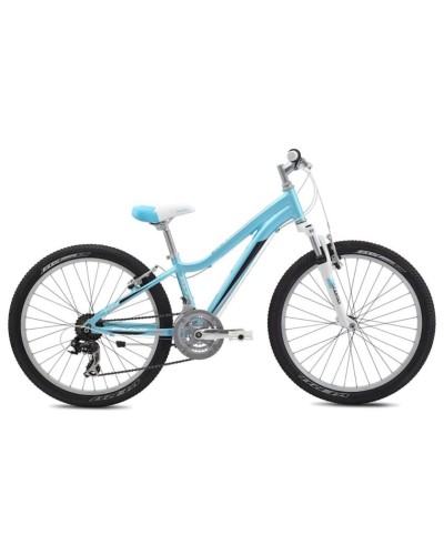 Dağ velosipedi Fuji Dynamite Comp 24