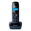 Радиотелефон Panasonic KX-TG1611UA Black Радиотелефон Panasonic KX-TG1611UA Black