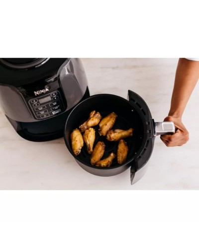 Aerofritür Ninja AF100EU 3.8 l