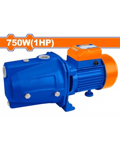 Salınma nasos Wadfow WWPJA03/750W