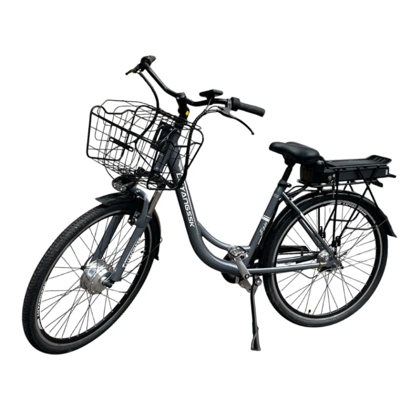 Elektrik velosiped LuyangSSK 28
