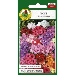 Семена цветов PNOS Floks Drummonda, 0.8 г