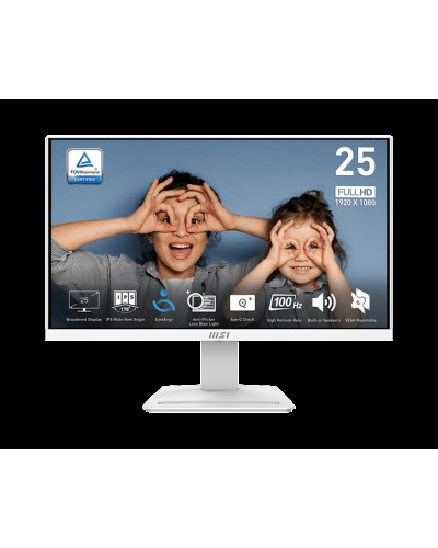 Monitor 24.5