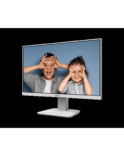 Monitor 24.5