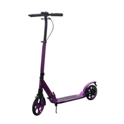 Детский самокат Beihaishi LN2M, фиолетовый