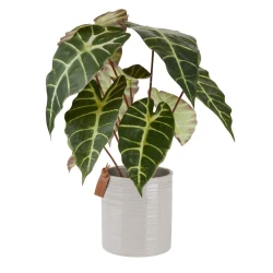 Искусственное растение JYSK Marius, 38x42 см Искусственное растение JYSK Marius, 38x42 см