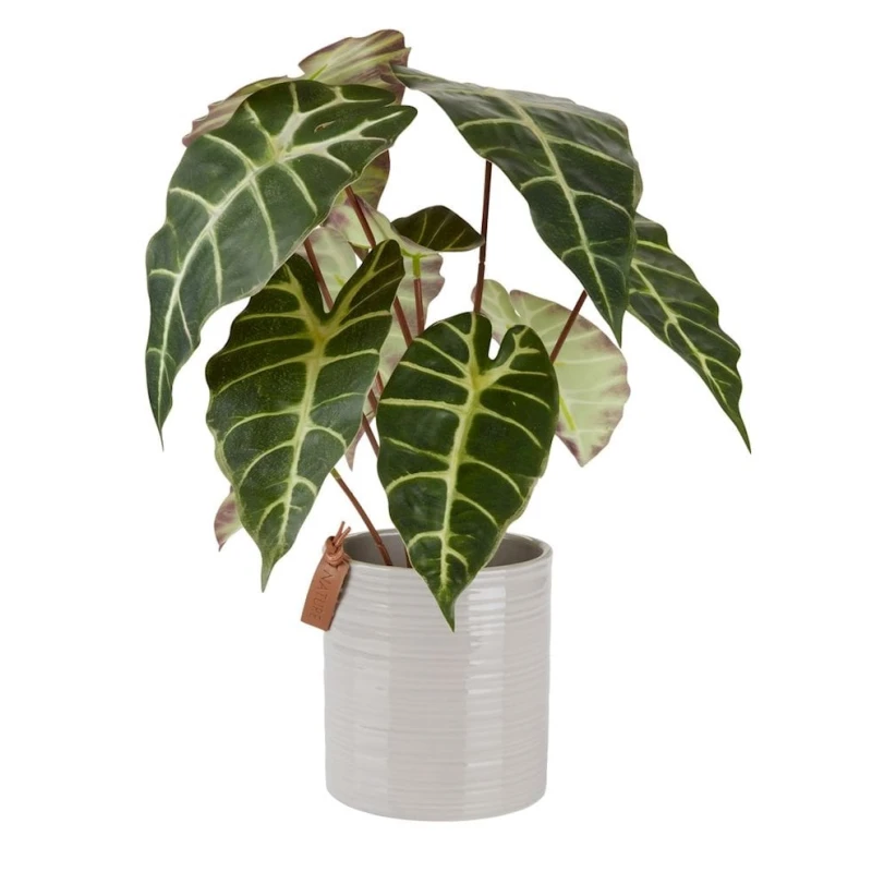 Süni bitki JYSK Marius, 38x42 sm Süni bitki JYSK Marius, 38x42 sm