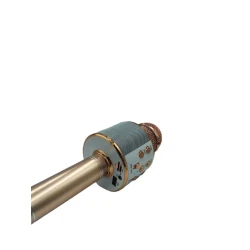 Беспроводной микрофон WS-858 Wireless Hifi Speaker Rose Gold Беспроводной микрофон WS-858 Wireless Hifi Speaker Rose Gold