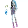 Кукла Mattel HRC12 Monster High OPP, товар в асортименте