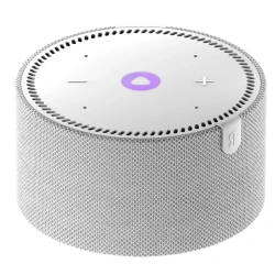 Умная колонка Yandex Station Mini Plus Gray (YNDX-00021G)