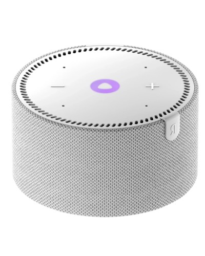Ağıllı dinamik Yandex Station Mini Plus Gray (YNDX-00021G)