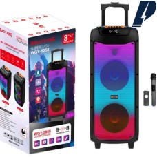 Portativ dinamik WGY-5058 Black