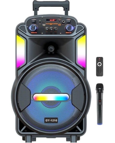 Portativ dinamik GY-1210 Multicolor