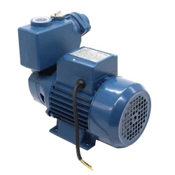 Водяной насос Bramex WKS70-1 (TM.28316) Водяной насос Bramex WKS70-1 (TM.28316)