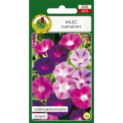 Семена цветов Wilec Purpurowy 3 г