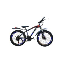 Dağ velosipedi XTR2602GY, 26