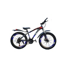 Dağ velosipedi XTR2602GY, 26