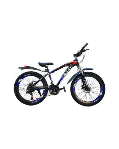 Dağ velosipedi XTR2602GY, 26