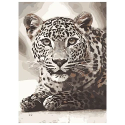 Картина по номерам  Картина по номерам