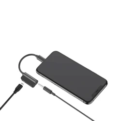 Переходник Recci 2 IN 1 FUNCTION CONVERTER RDS-A06