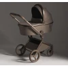 Детская коляска Anex Flo Yuki