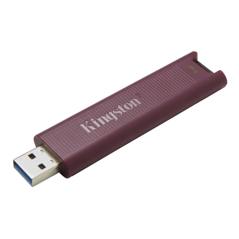 Флеш-карта Kingston DataTraveler Max DTMAXA/1TB