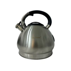 Чайник Haus Roland ZGH_00581, серебристый, 5 л