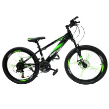 Dağ velosipedi BMX2903, yaşıl/qara, ölçü 29