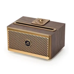 Акустическая система Kisonli G1