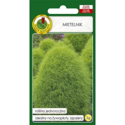 Семена цветов Mietelnik 3 г