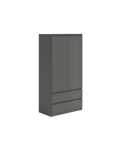 Şkaf Art Mebel Art-80-40, boz, 210х80х50 sm