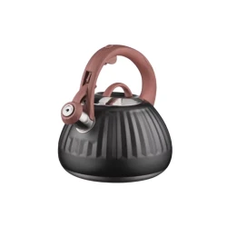 Чайник Ardesto Gemini AR1958KS, нержавеющая сталь, черный, 2.5 л Чайник Ardesto Gemini AR1958KS, нержавеющая сталь, черный, 2.5 л