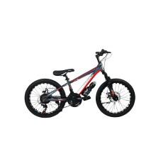 Dağ velosipedi BMX2001QRM, boz/qırmızı